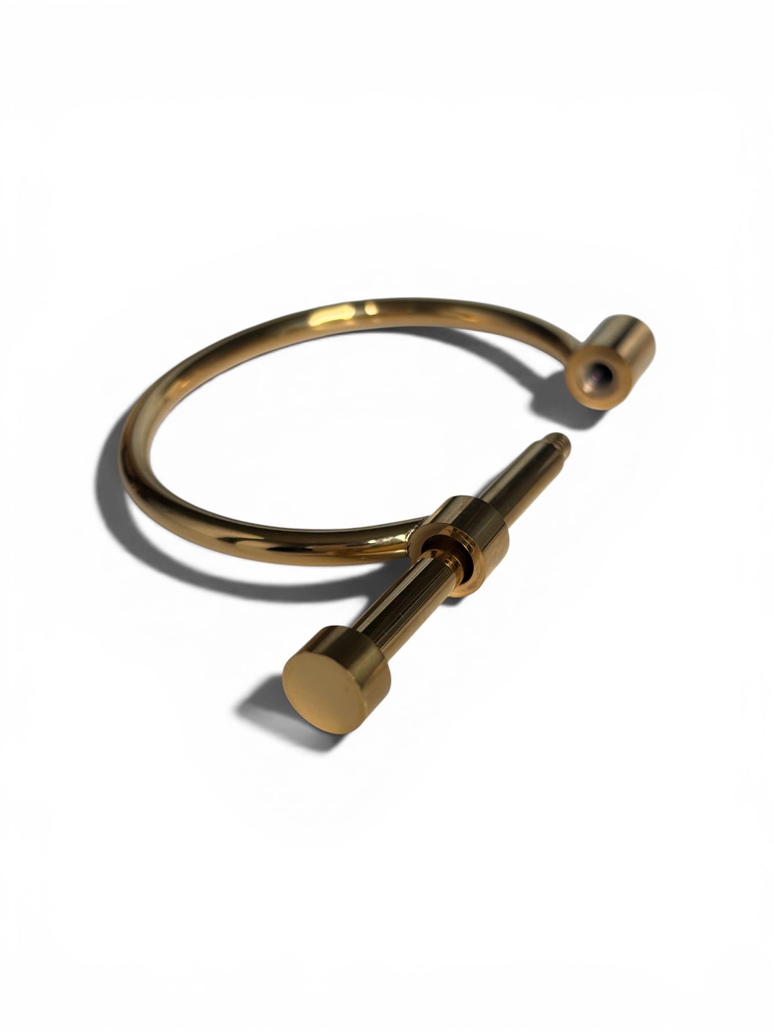 Horseshoe bracelet