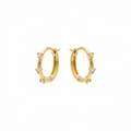 Small gold hoops